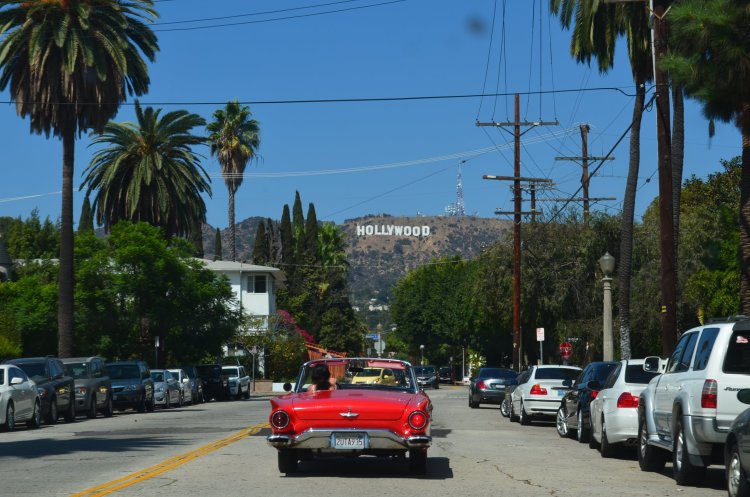 Mastering Hollywood | A Comprehensive Guide to Essential Skills for Aspiring Artists