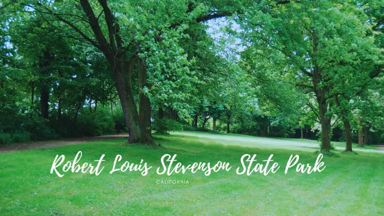 Robert Louis Stevenson State Park | A Hiker's Paradise with unique Views