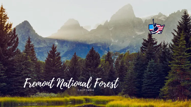 Exploring Heritage and Peace | Fremont National Forest