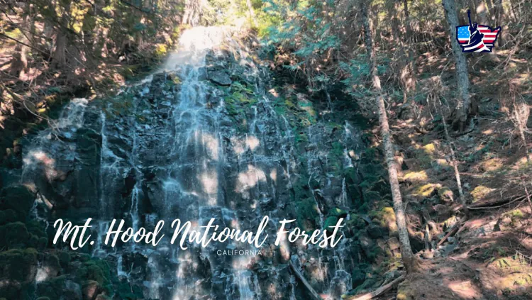 Tips for Hiking and Adventures in Mt. Hood National Forest
